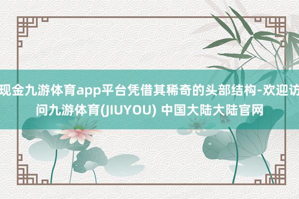 现金九游体育app平台凭借其稀奇的头部结构-欢迎访问九游体育(JIUYOU) 中国大陆大陆官网